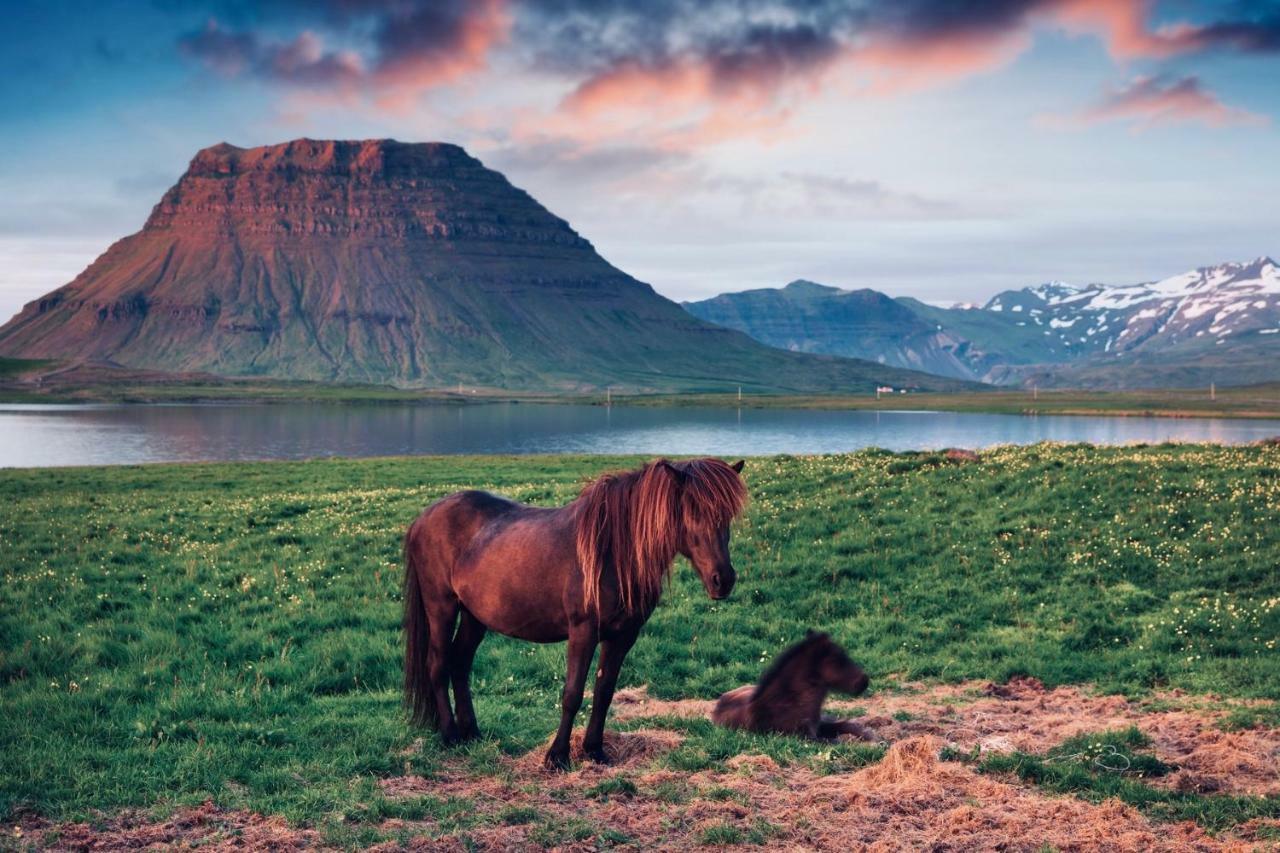 Experience Beautiful Iceland Ólafsvík Εξωτερικό φωτογραφία