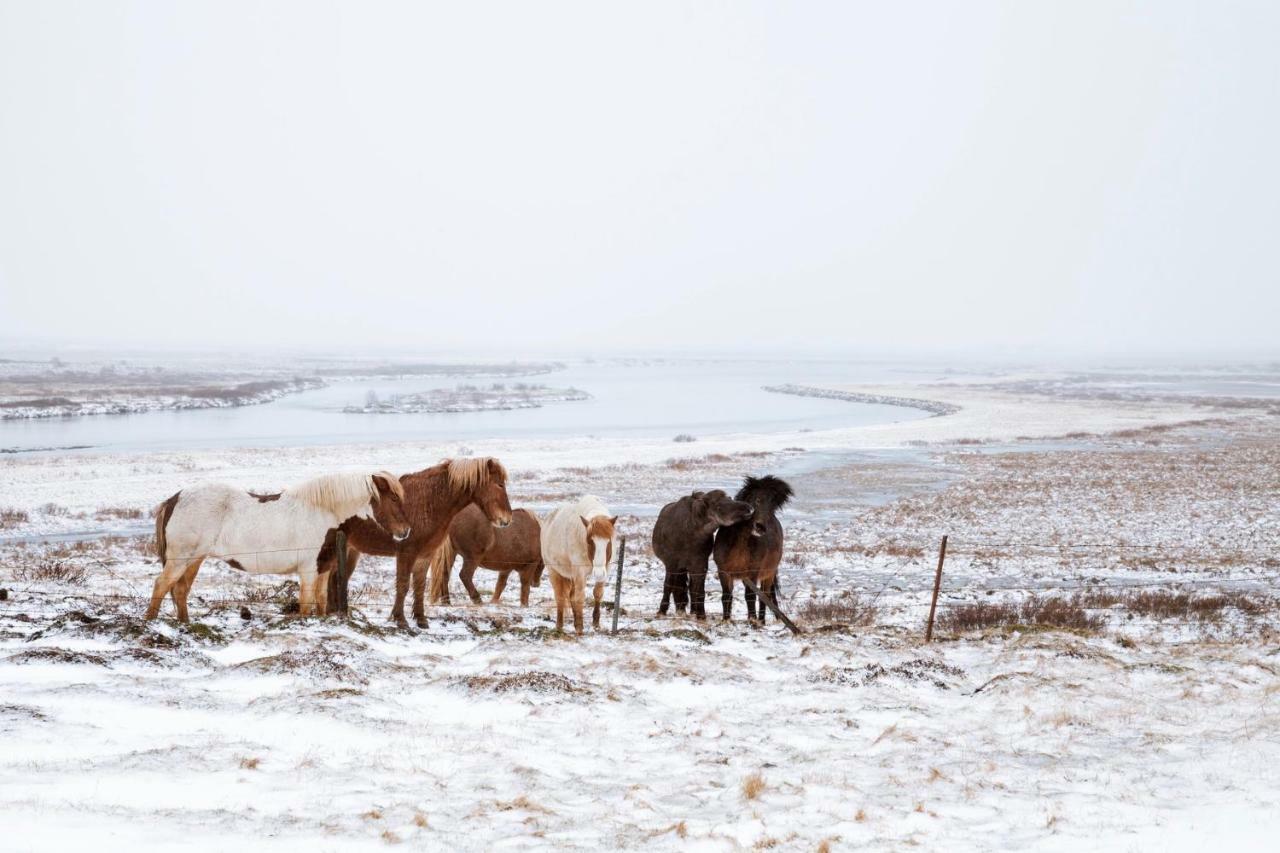 Experience Beautiful Iceland Ólafsvík Εξωτερικό φωτογραφία