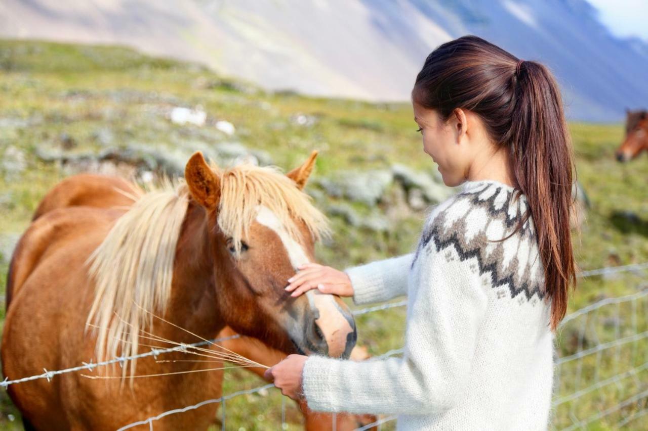 Experience Beautiful Iceland Ólafsvík Εξωτερικό φωτογραφία