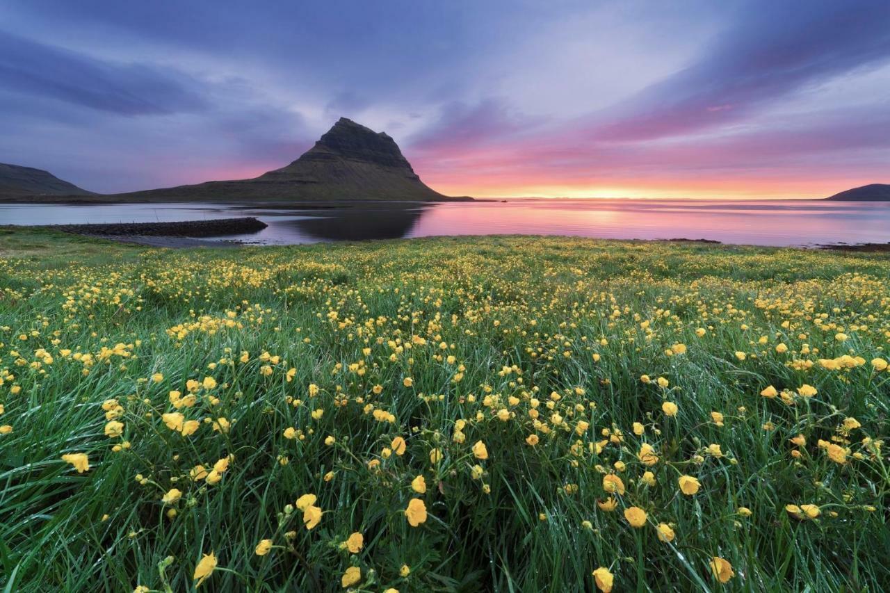 Experience Beautiful Iceland Ólafsvík Εξωτερικό φωτογραφία